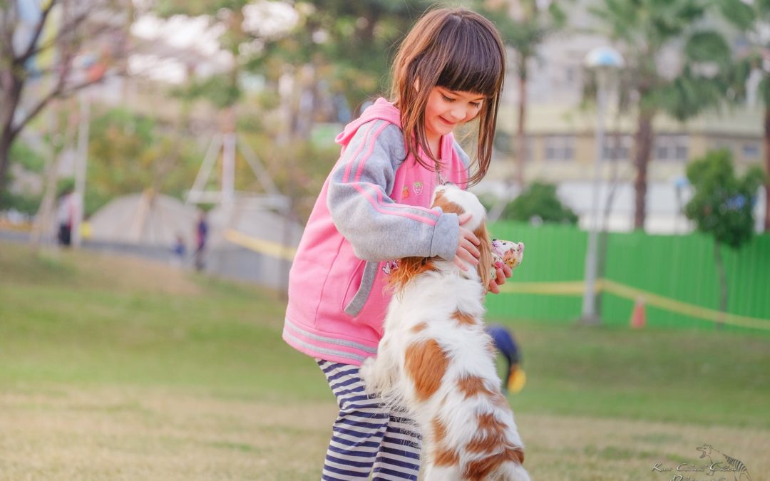 Pair Your Kid’s Personality with the Right Pet - All My Children Daycare