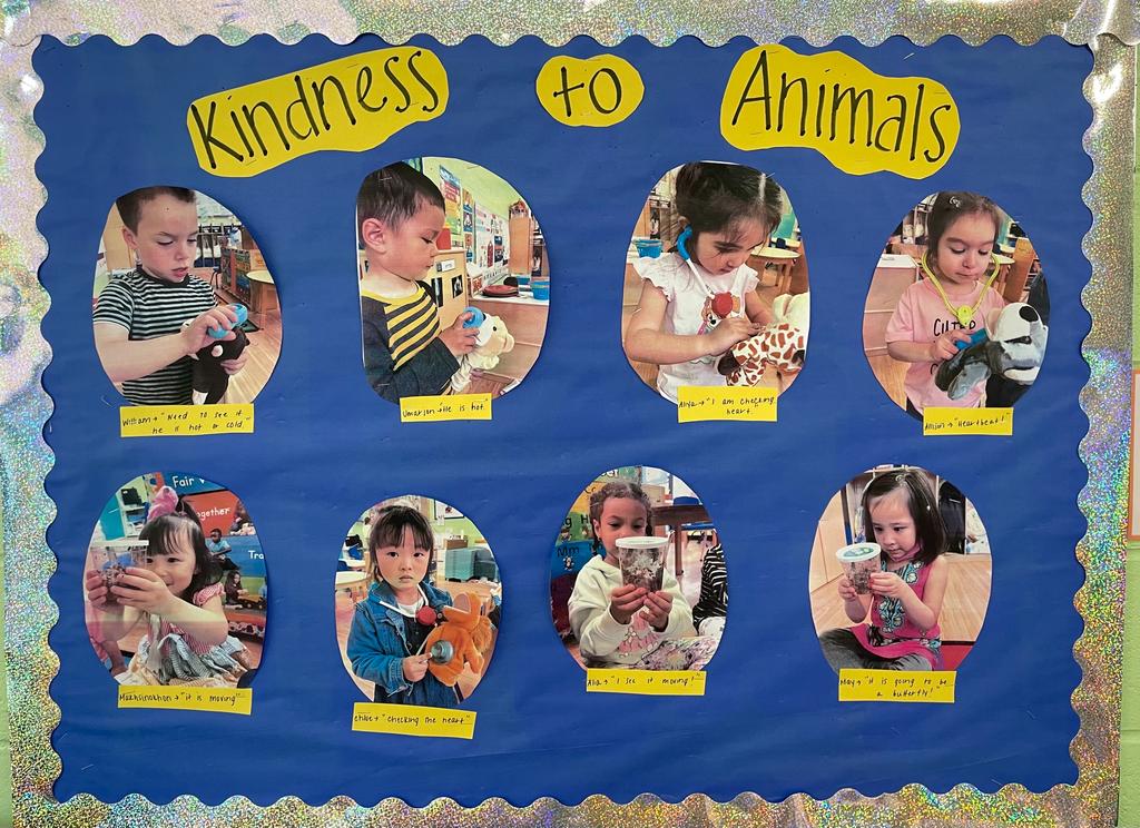 Kindness to Animals
