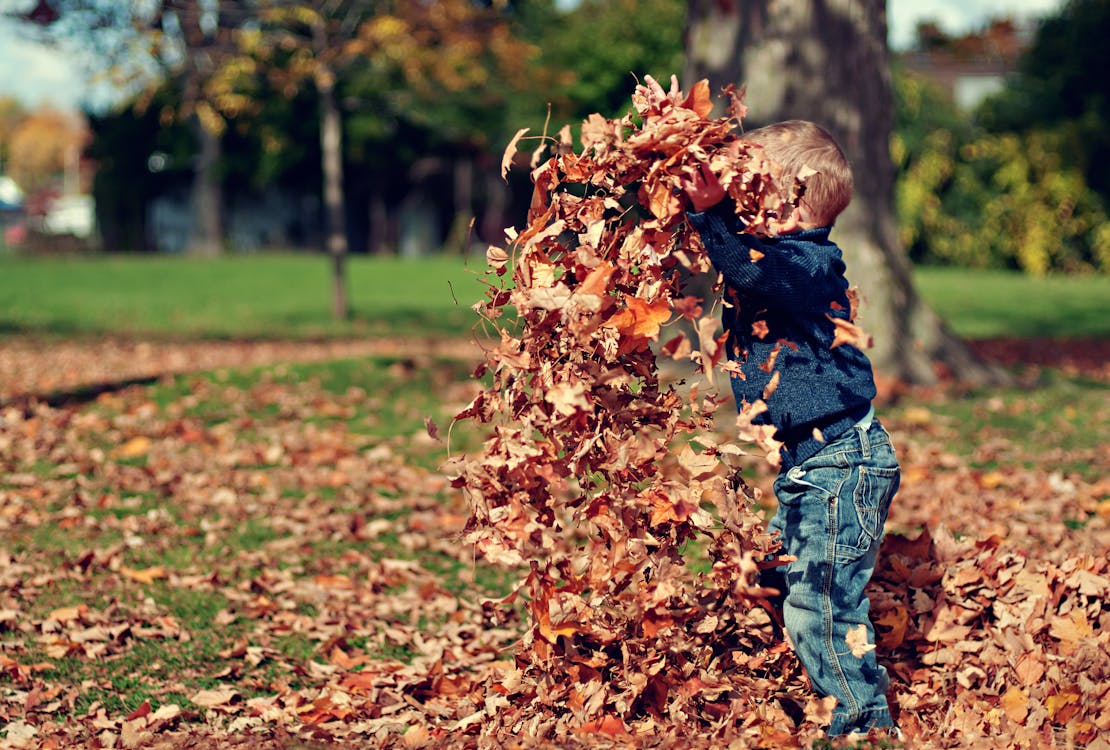 leaves child