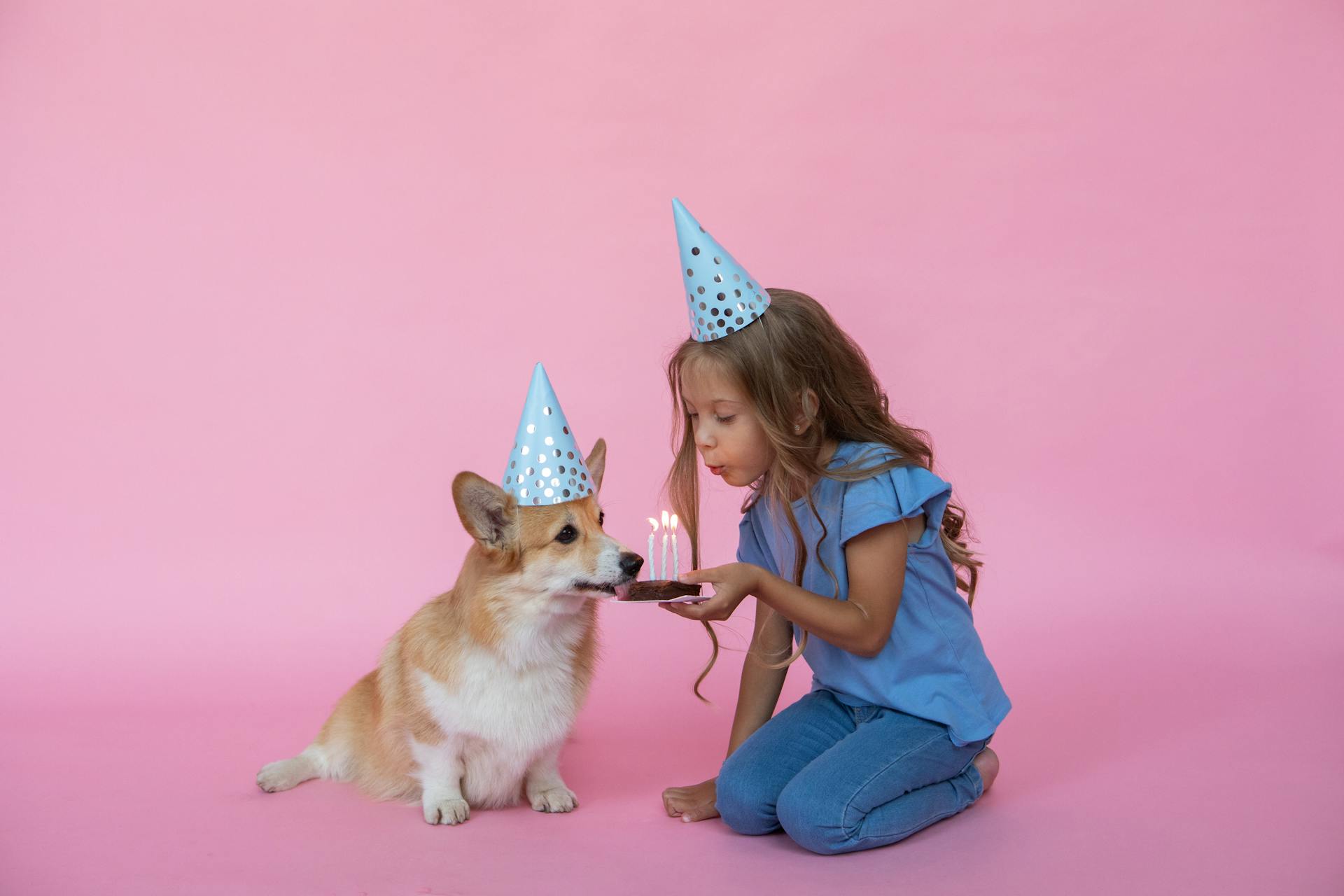 girl dog birthday